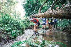 BIB: 
                            <button type="button" onclick="openModal(25474481)" class="btn btn-primary btn-sm float-right btn-popup" data-toggle="modal" data-target=".modal-high-quality">
                        <i class="fas fa-shopping-cart"></i> Add to Cart
                    </button>
                                            <button type="button" onclick="isThisMe(25474481, true)" class="btn btn-success btn-sm float-right btn-popup btn-isme hidden" data-toggle="tooltip" data-placement="bottom" title="นี่คือรูปของคุณใช่ไหม คลิกที่นี่เพื่อเอาเข้าอัลบั้ม">
                        <i class="fas fa-plus"></i> Add to album
                    </button>
                    <button type="button" onclick="isThisMe(25474481, false)" class="btn btn-warning btn-sm float-right btn-popup btn-isnotme hidden">
                        <i class="fas fa-ban"></i> Remove from album
                    </button>